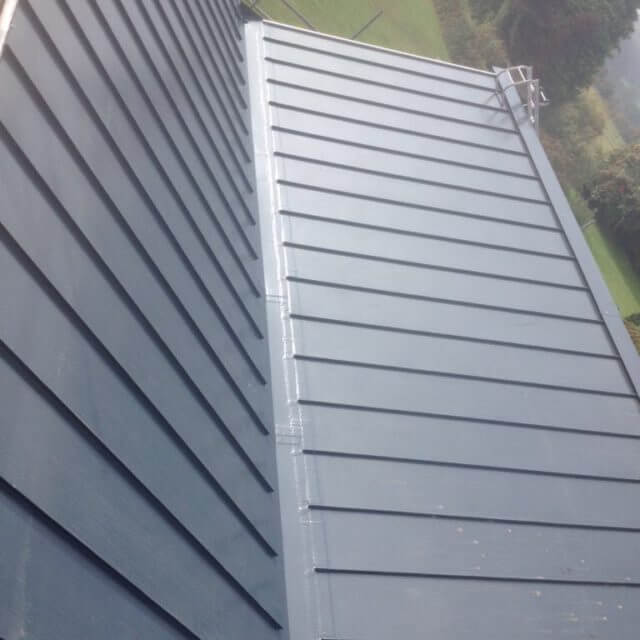 Weatherproofed commercial roof with a bush and tree in the background