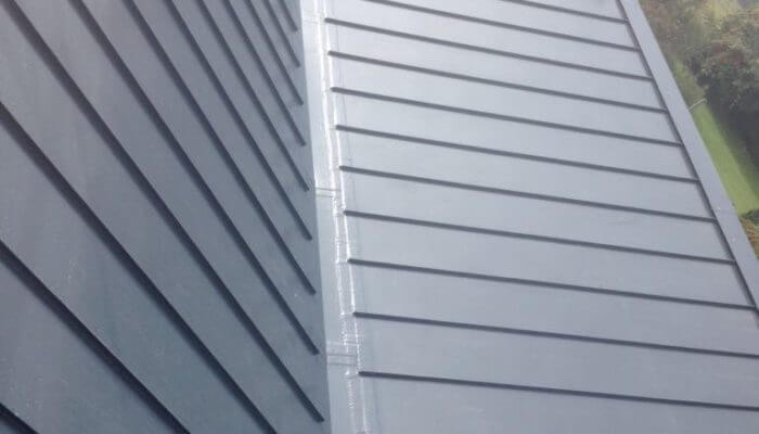 Weatherproofed commercial roof with a bush and tree in the background