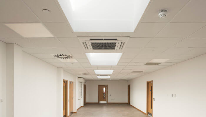 Inside view of a Inside view of a commercial rooflight installed on a nursery